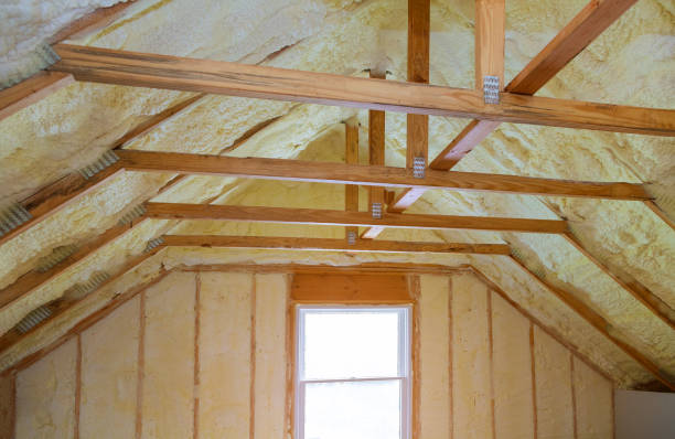 Best Eco-Friendly Insulation in Hernando Beach, FL