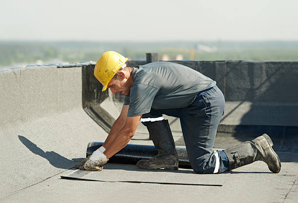 Best Insulation Maintenance and Repair in Hernando Beach, FL
