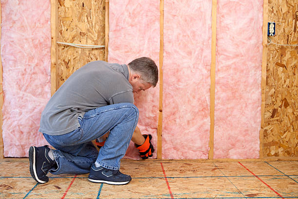 Professional Insulation Contractor in Hernando Beach, FL